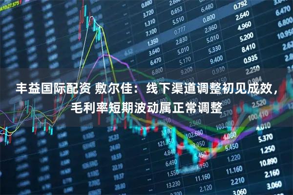 丰益国际配资 敷尔佳：线下渠道调整初见成效，毛利率短期波动属正常调整